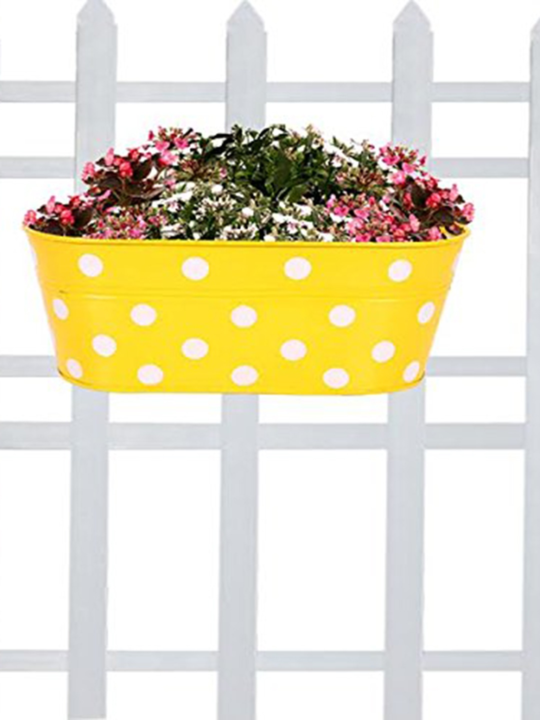 

TRUSTBASKET Yellow & White Dotted Oval Railing Planter