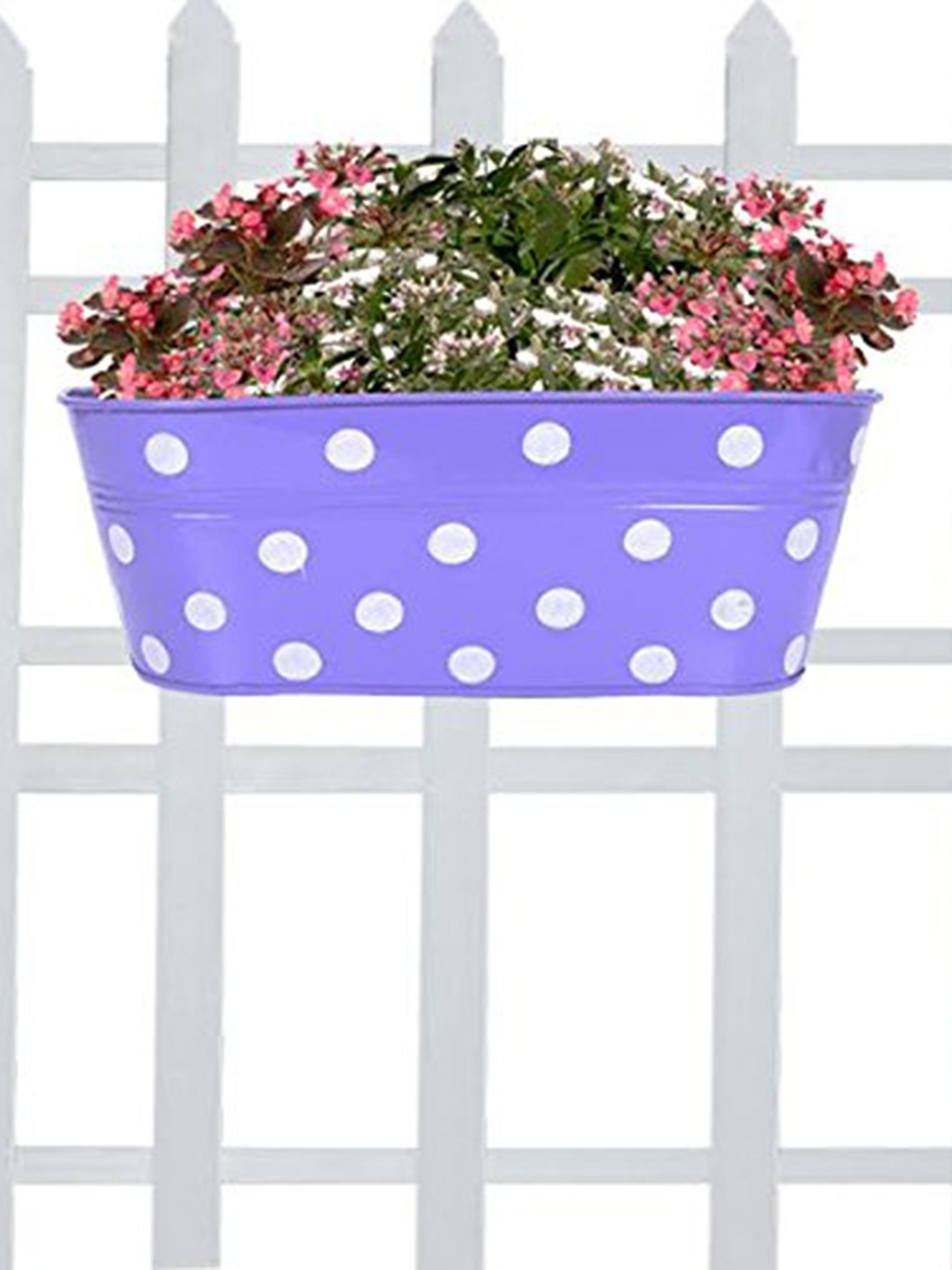 

TRUSTBASKET Purple & White Dotted Oval Railing Planter
