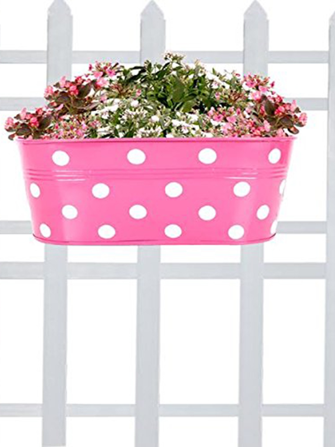 

TRUSTBASKET Magenta-Coloured & White Dotted Oval Railing Planter, Pink