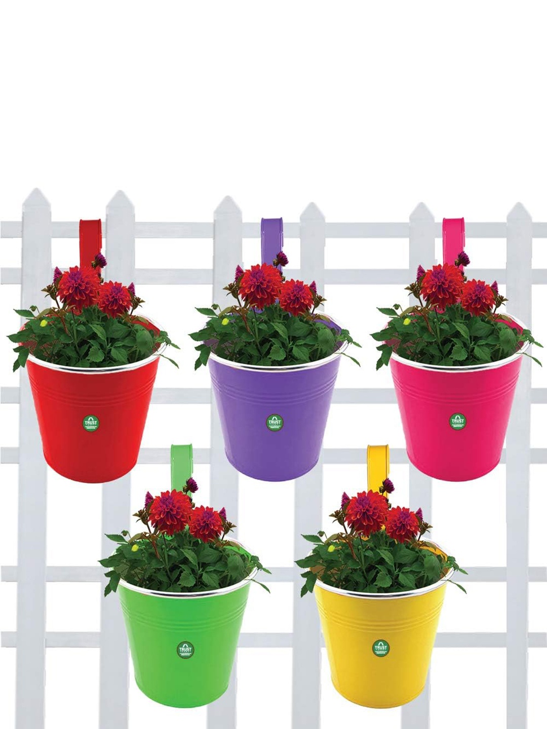

TRUSTBASKET 5-Pcs Pink & Red Plain Round Railing Planters