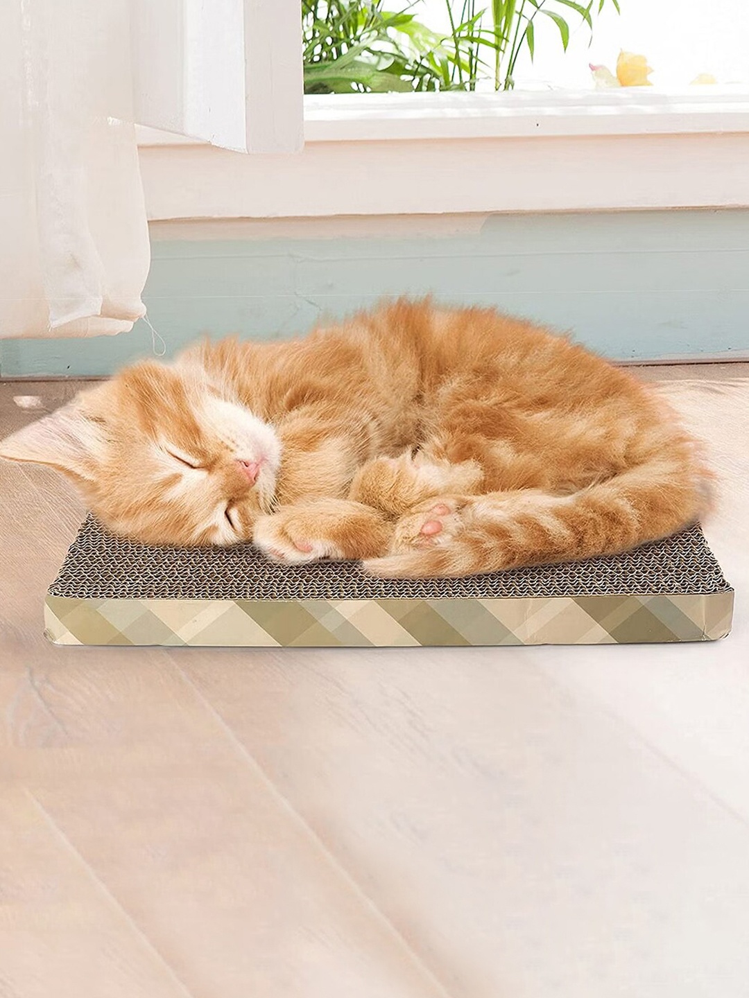 

Emily pets 3-Pcs Printed Wooden Pet Scratchers Toy Combo, Beige