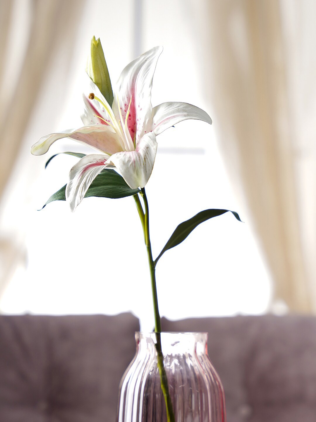 

Pure Home and Living White & Green Single Artificial Faux Tigerlily Spray Flower