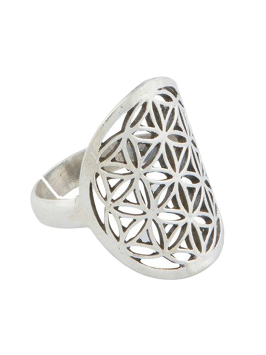

ahilya Silver-Plated 92.5 Sterling Silver Parkha Jaali Vertical Finger Ring