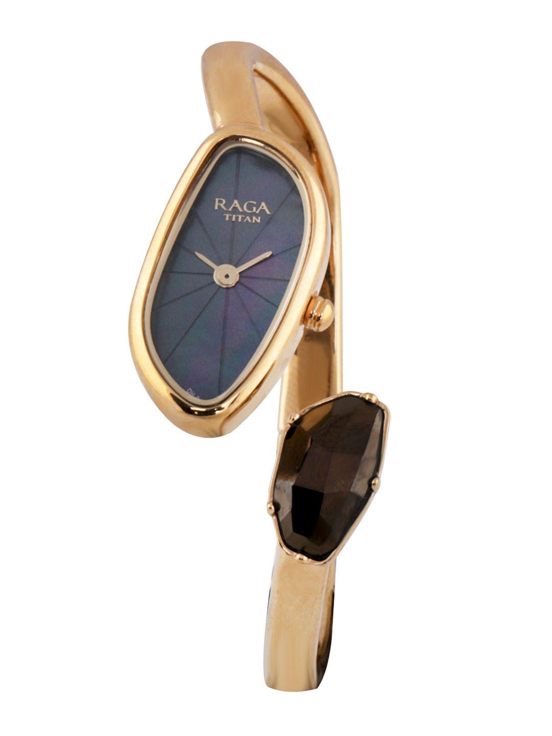 

Titan Raga Women Blue Analogue Watch 95055YM01F
