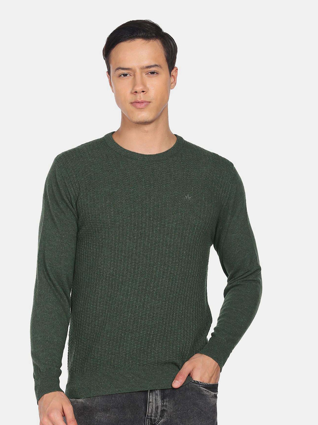

Arrow Sport Round Neck Ribbed Pullover, Green