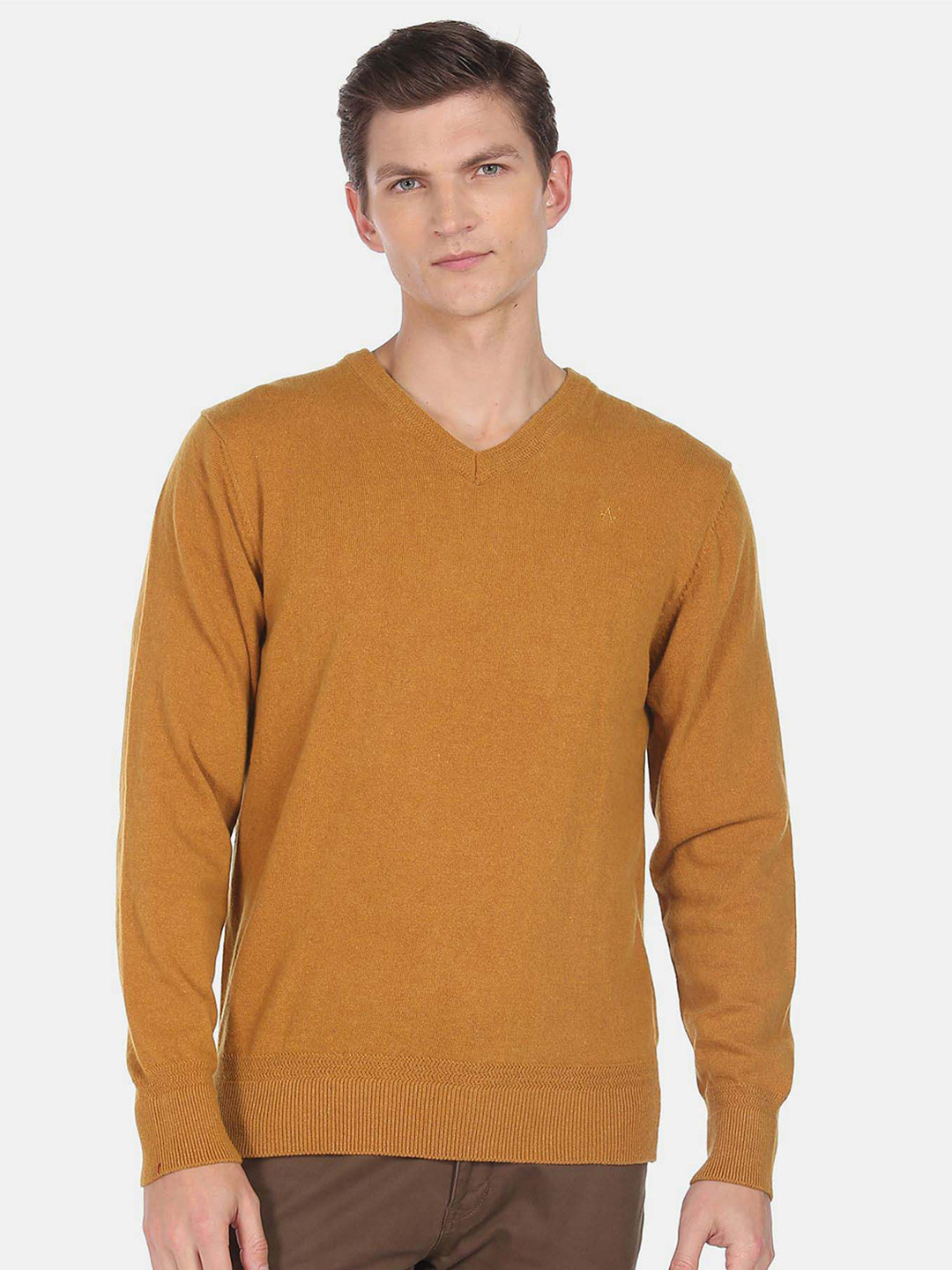 

Arrow Sport V-Neck Long Sleeves Pullover, Yellow