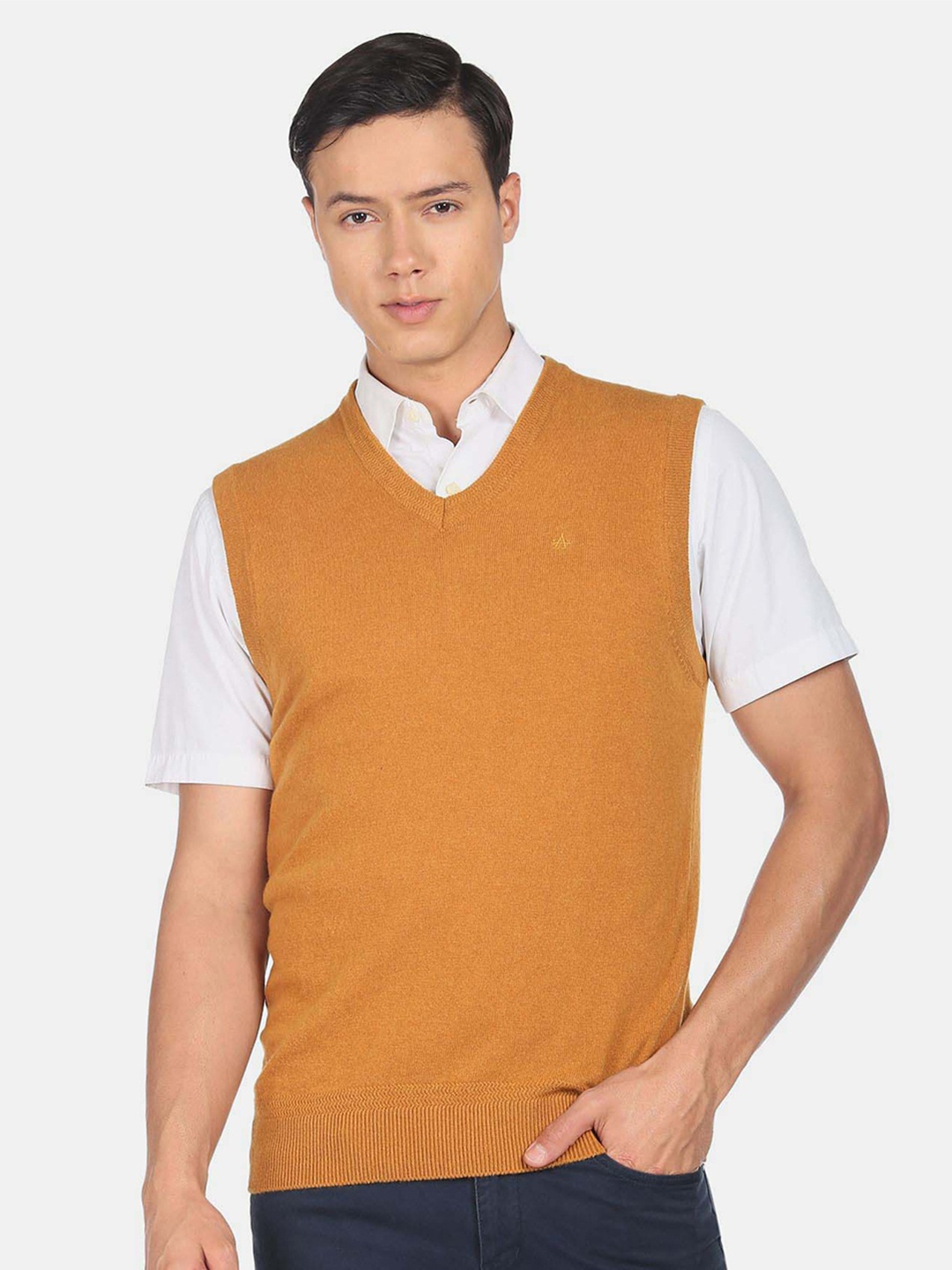 

Arrow Sport V-Neck Sleeveless Sweater Vest, Yellow
