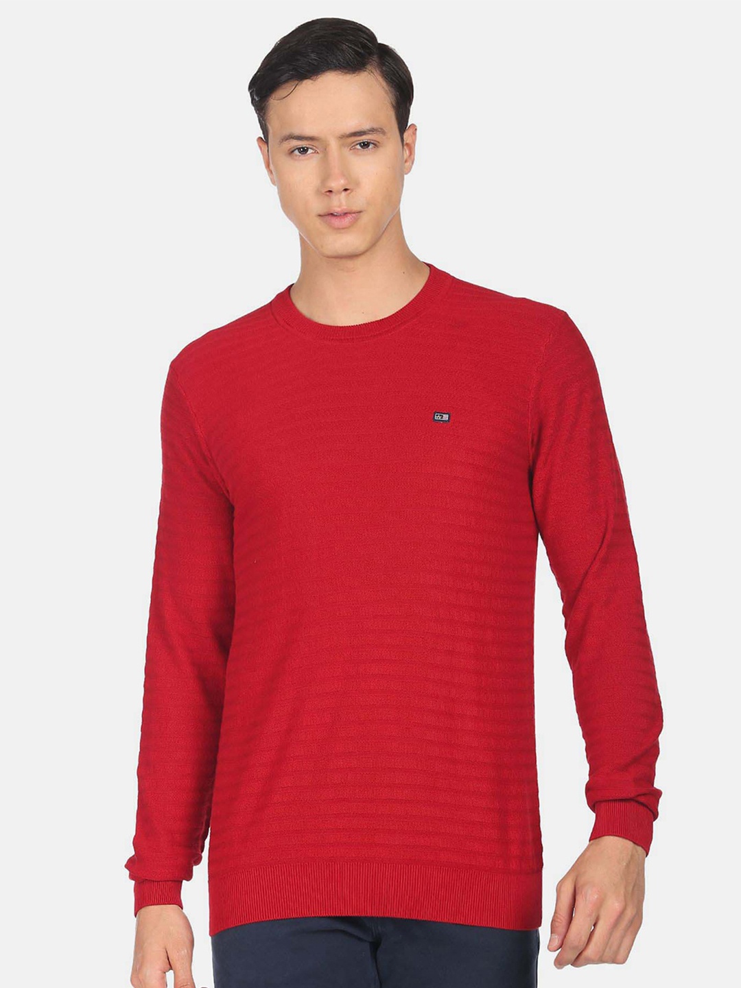 

Arrow Sport Round Neck Pure Cotton Pullover, Red