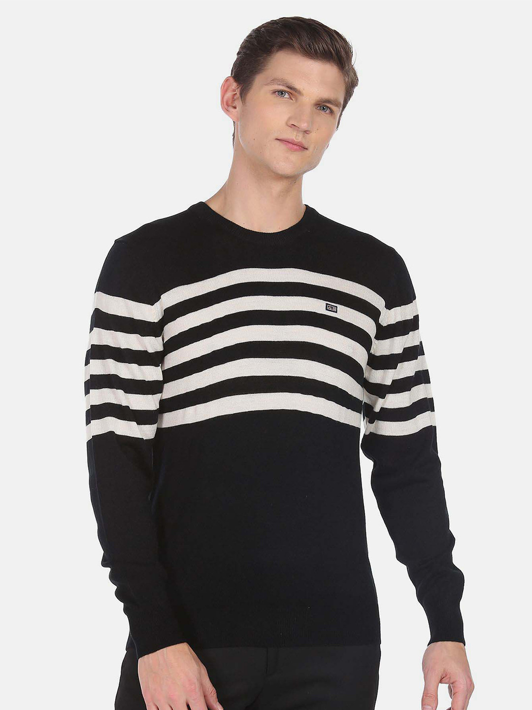 

Arrow Sport Striped Acrylic Pullover, Black