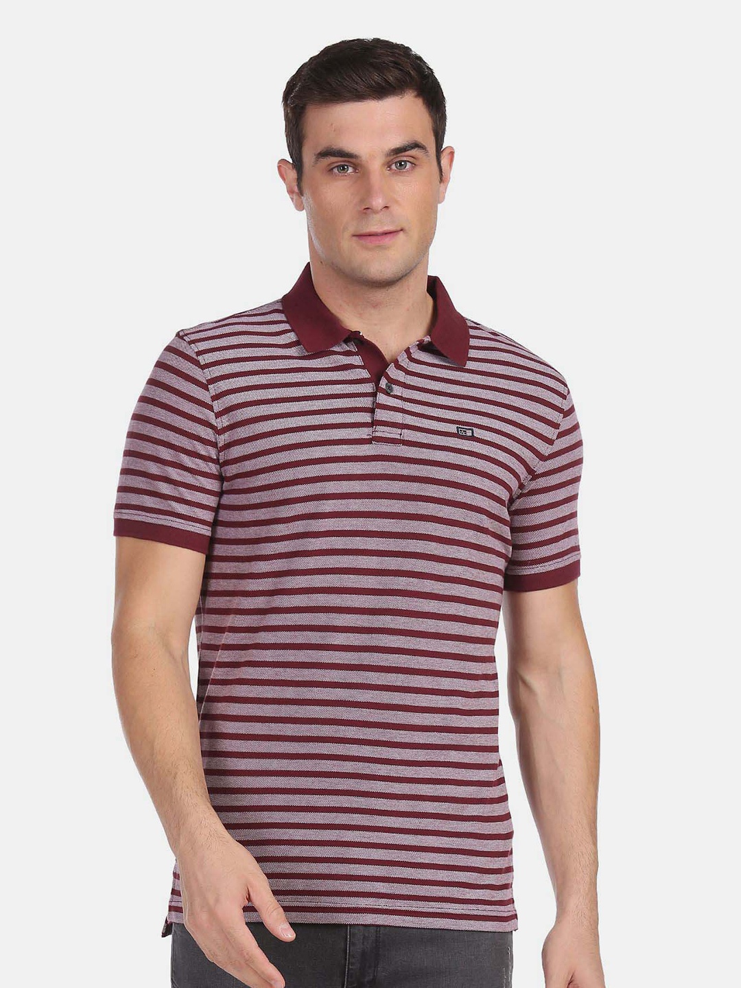 

Arrow Sport Striped Polo Collar Pure Cotton T-shirt, Burgundy