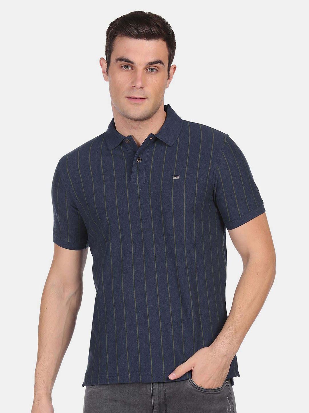 

Arrow Sport Pique Striped Polo Collar Casual Cotton T-shirt, Navy blue