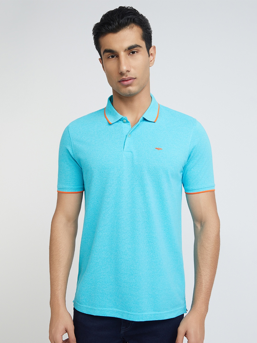 

Park Avenue Polo Collar Slim Fit T-shirt, Turquoise blue