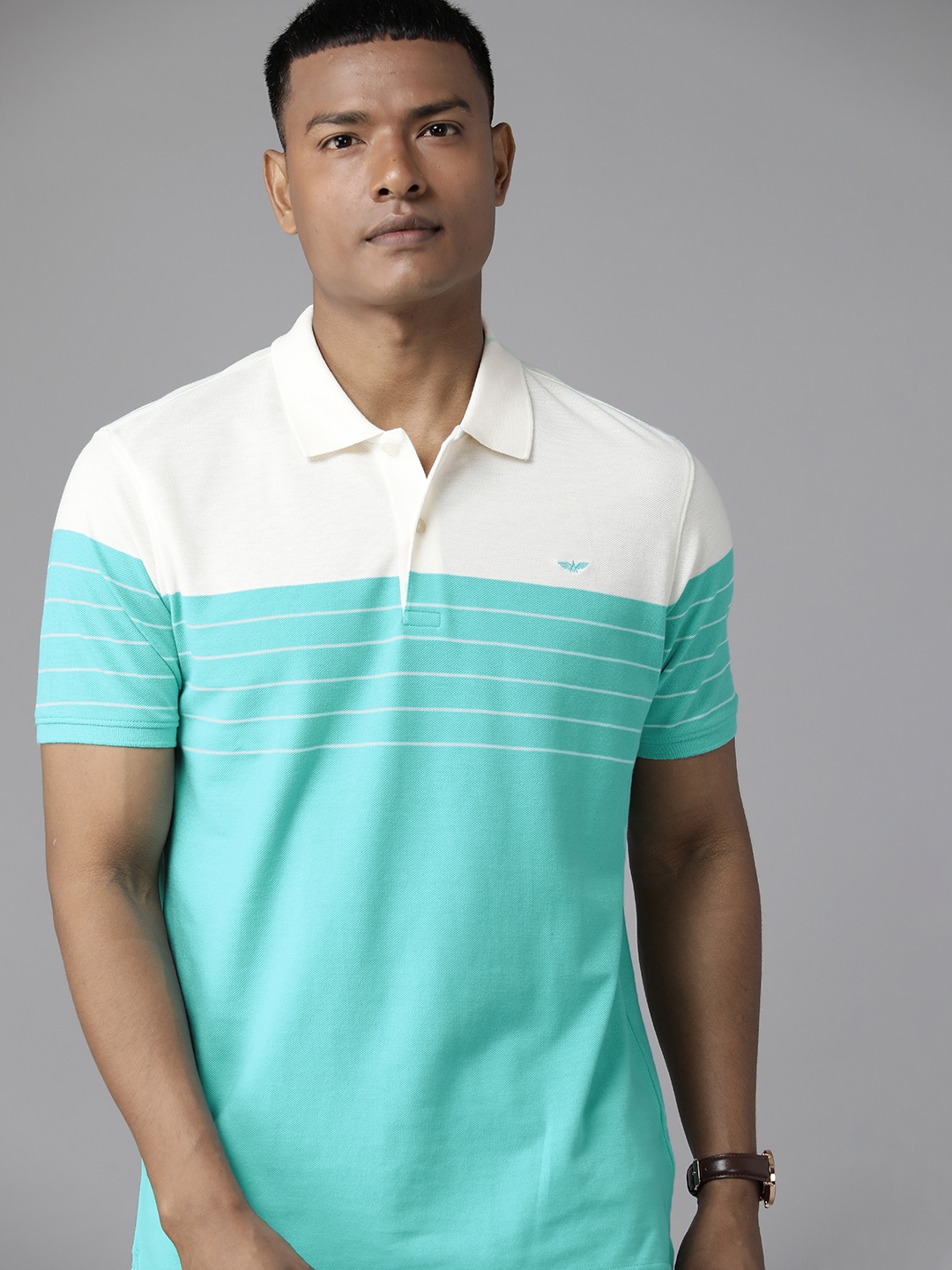 

Park Avenue Men Colourblocked Polo Collar Slim Fit T-shirt, Blue