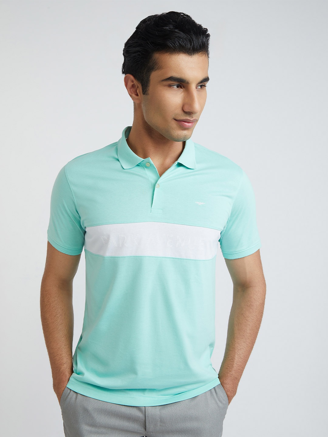 

Park Avenue Striped Polo Collar Slim Fit T-shirt, Sea green