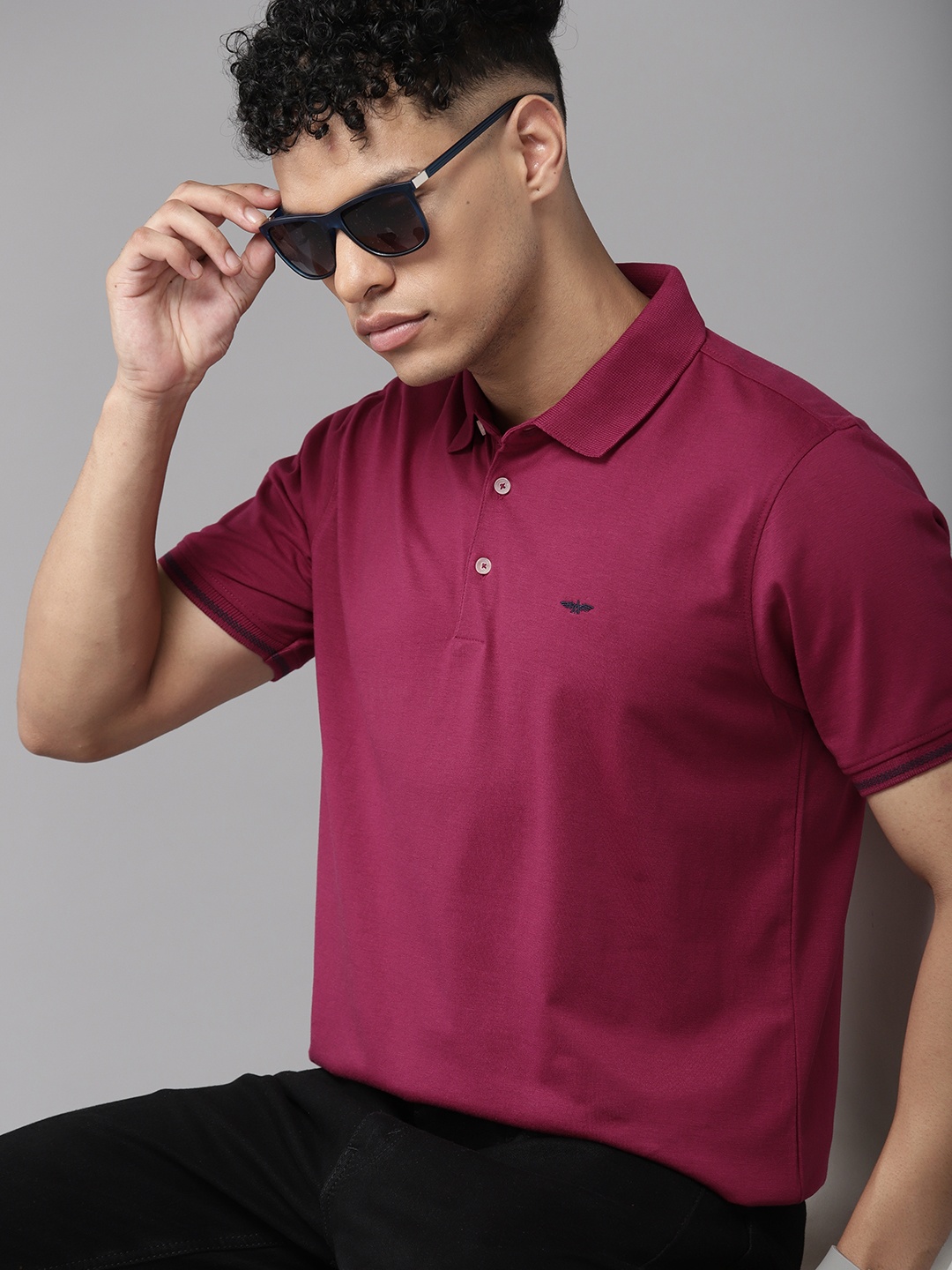 

Park Avenue Men Solid Polo Collar Slim Fit T-shirt, Magenta