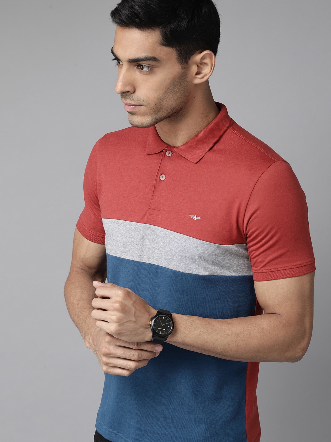 

Park Avenue Men Red & Blue Colourblocked Polo Collar Slim Fit T-shirt