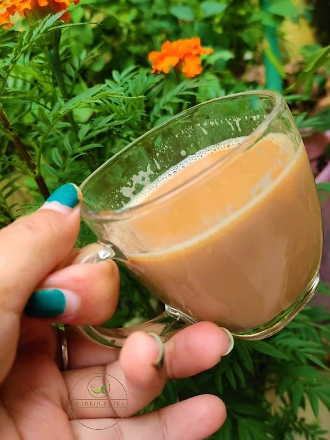 

MARKQUES Teaware Transparent 2 Pcs Glass Cups 200 ml Each