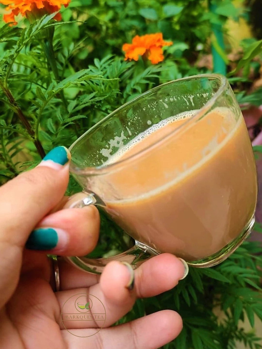 

MARKQUES Transparent 6 Pcs Glass Cups 200 ml Each