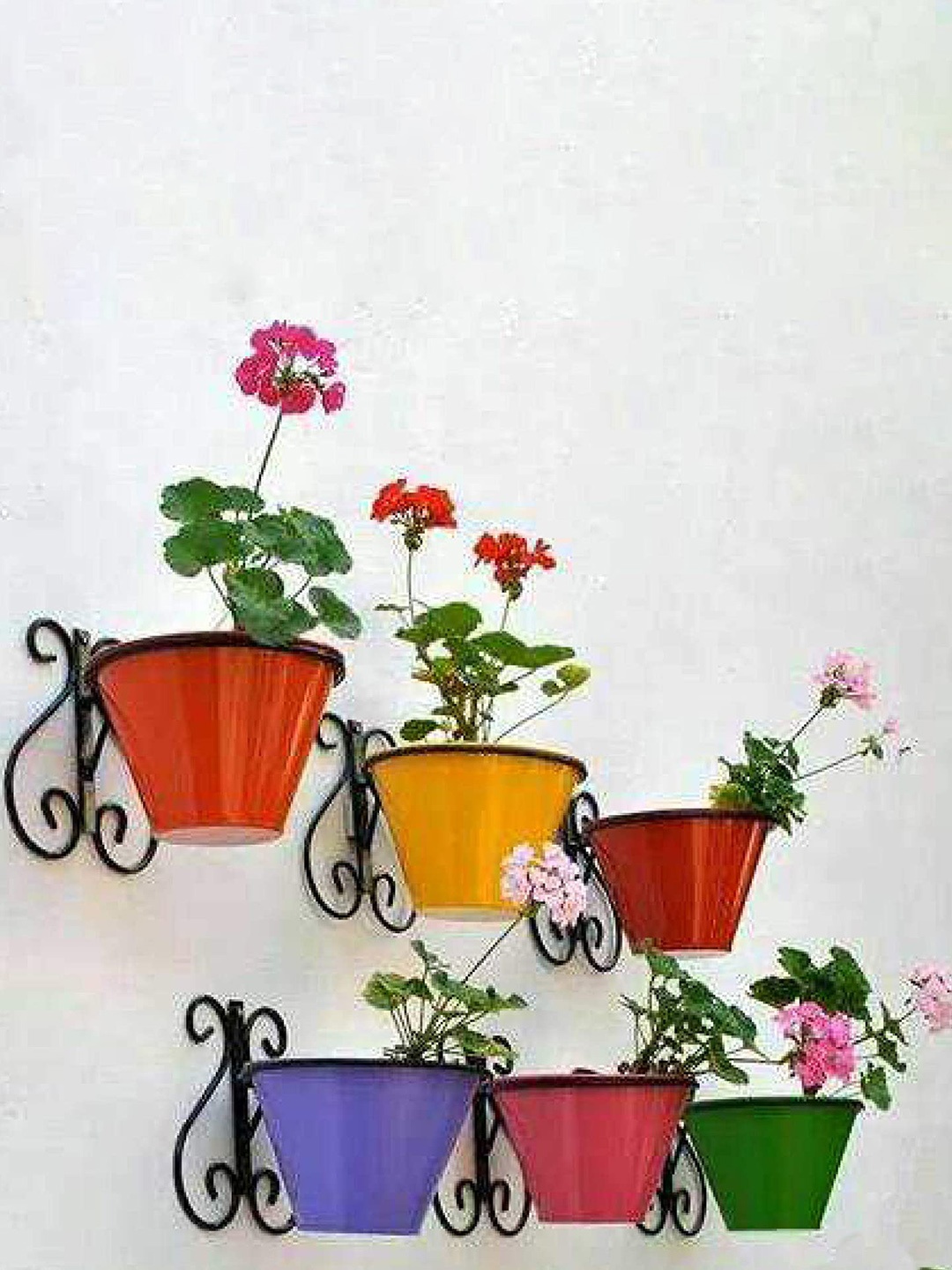 

TRUSTBASKET Rainbow 6 Pcs Wall Mounting Planters & Stands, Yellow