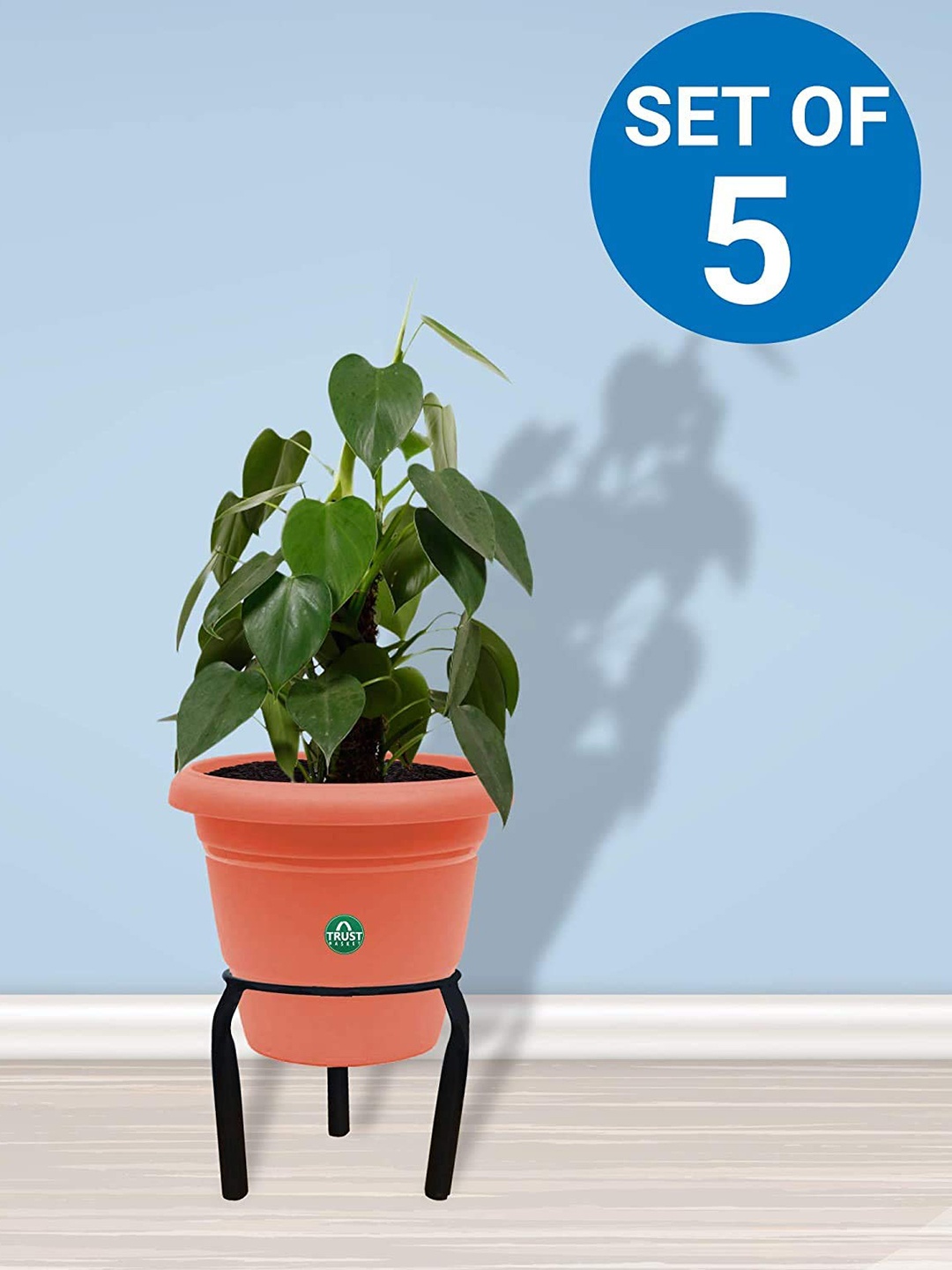 

TRUSTBASKET 5 Pcs Black Matka Planter Stands