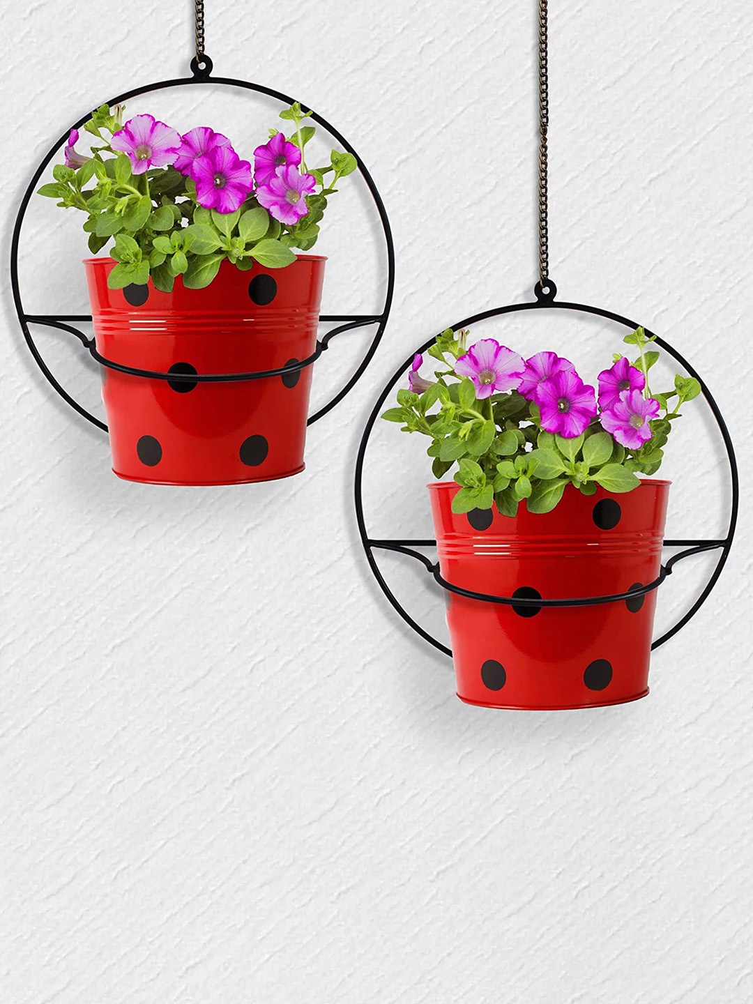 

TRUSTBASKET 2 Pcs Black Round-Shaped Wall Mounted Planter Stands