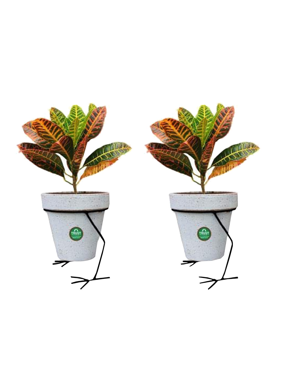 

TRUSTBASKET Hen 2-Pcs Black Planter Stands