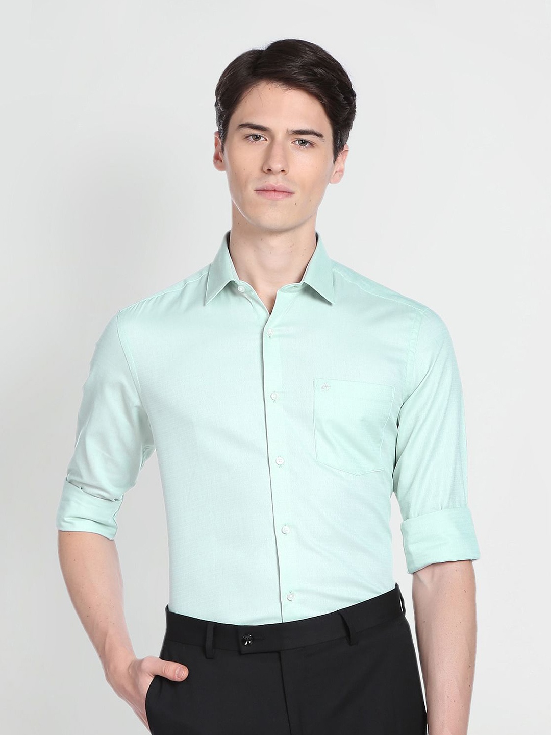 

Arrow Spread Collar Slim Fit Pure Cotton Casual Shirt, Green