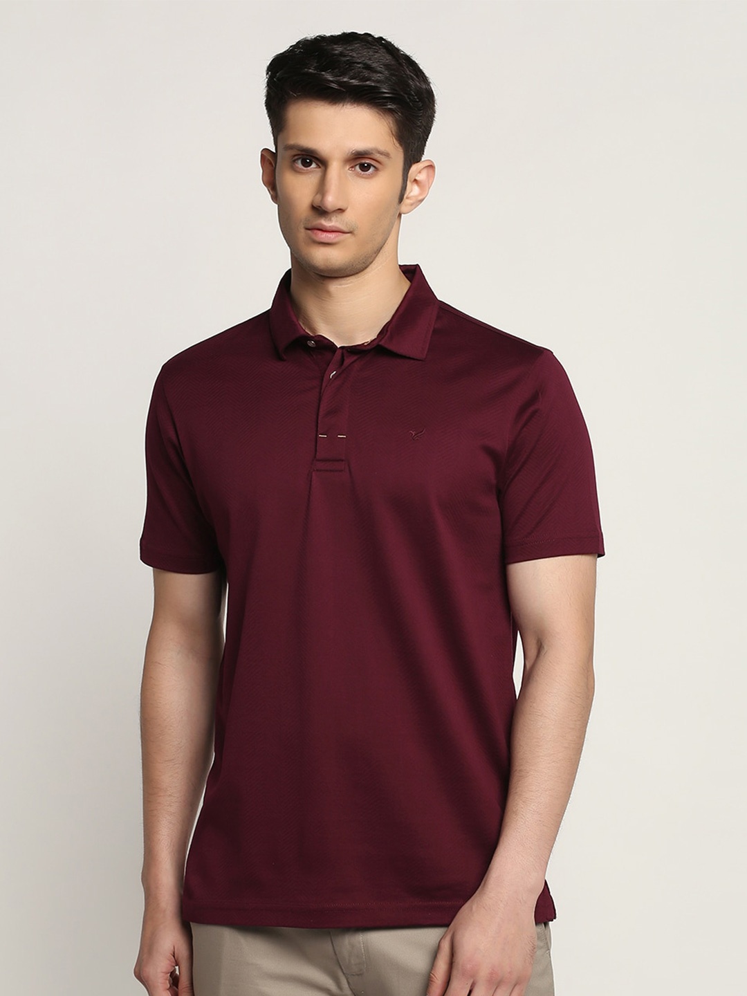 

Blackberrys Polo Collar Pure Cotton T-shirt, Maroon