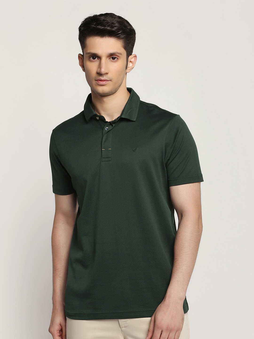 

Blackberrys Polo Collar Pure Cotton Regular Fit T-shirt, Green