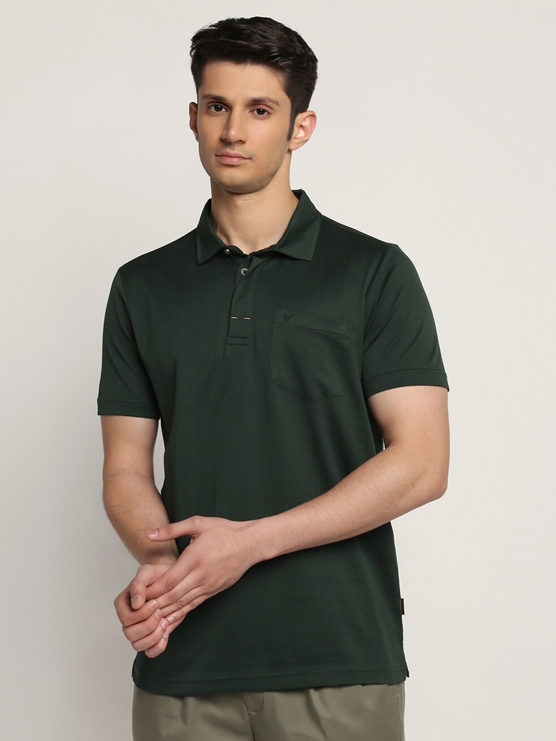 

Blackberrys Polo Collar Pure Cotton Regular Fit T-shirt, Green