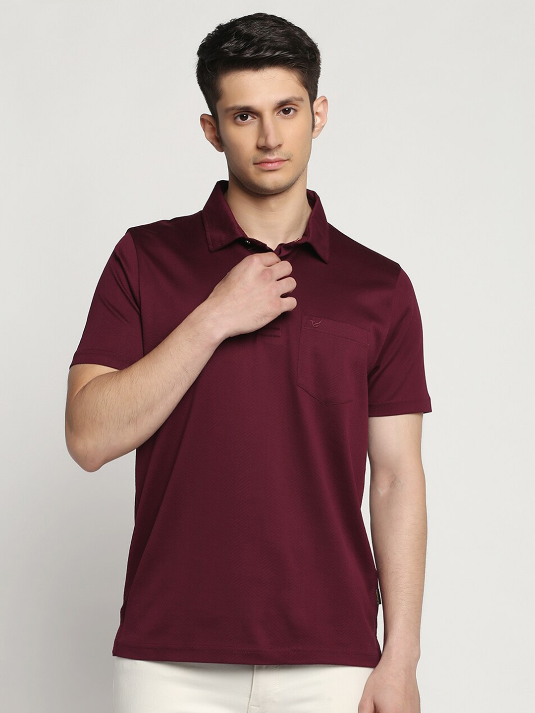 

Blackberrys Polo Collar Slim Fit Cotton T-shirt, Red