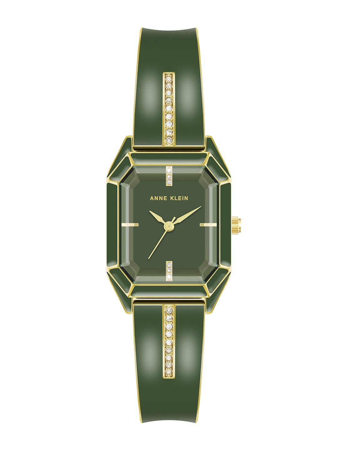 

ANNE KLEIN Women Dial & Stainless Steel Straps Analogue Watch, Green