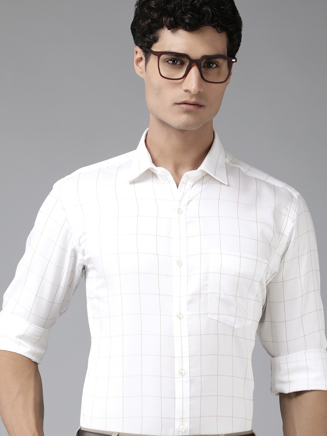 

Park Avenue Slim Fit Checked Pure Cotton Formal Shirt, White