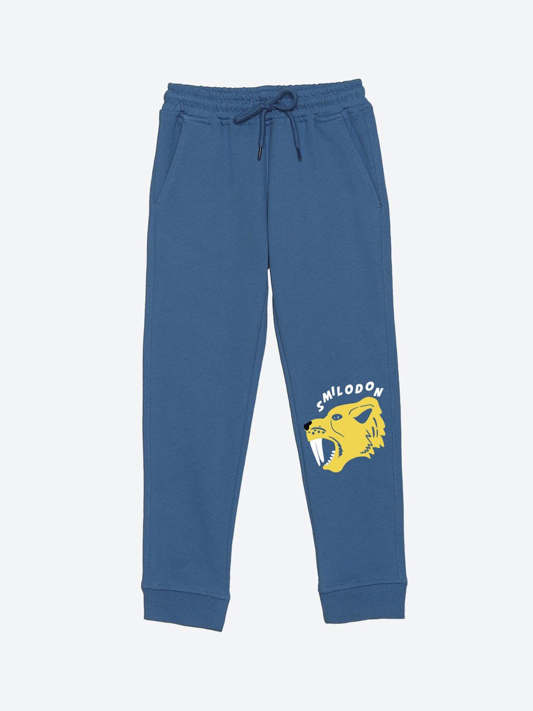 

YK Boys Character Printed Regular Fit Joggers, Blue