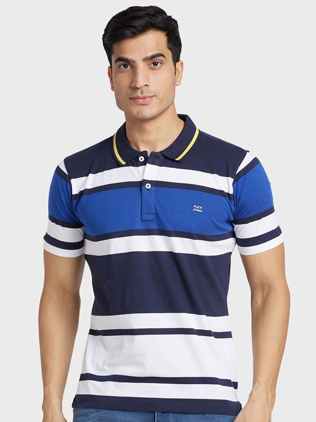 

ColorPlus Men Striped Polo Collar Cotton T-shirt, Blue