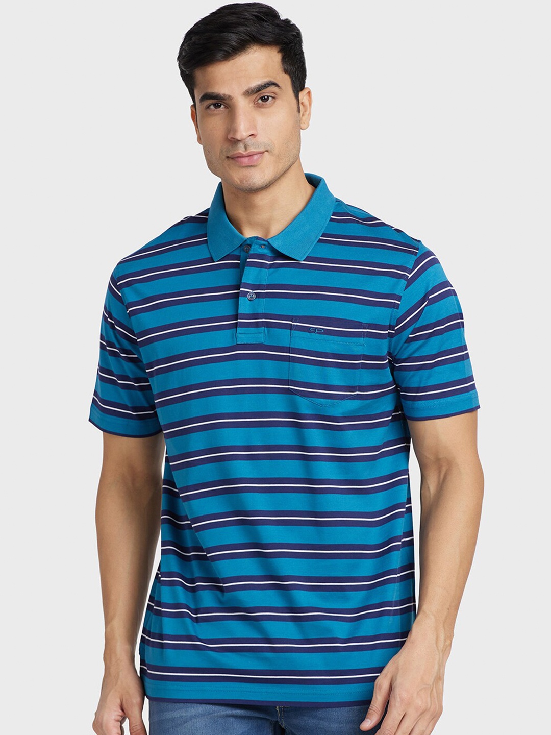 

ColorPlus Striped Polo Collar Cotton T-shirt, Blue