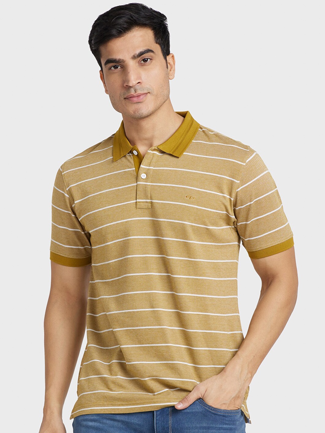 

ColorPlus Striped Polo Collar Cotton T-shirt, Mustard