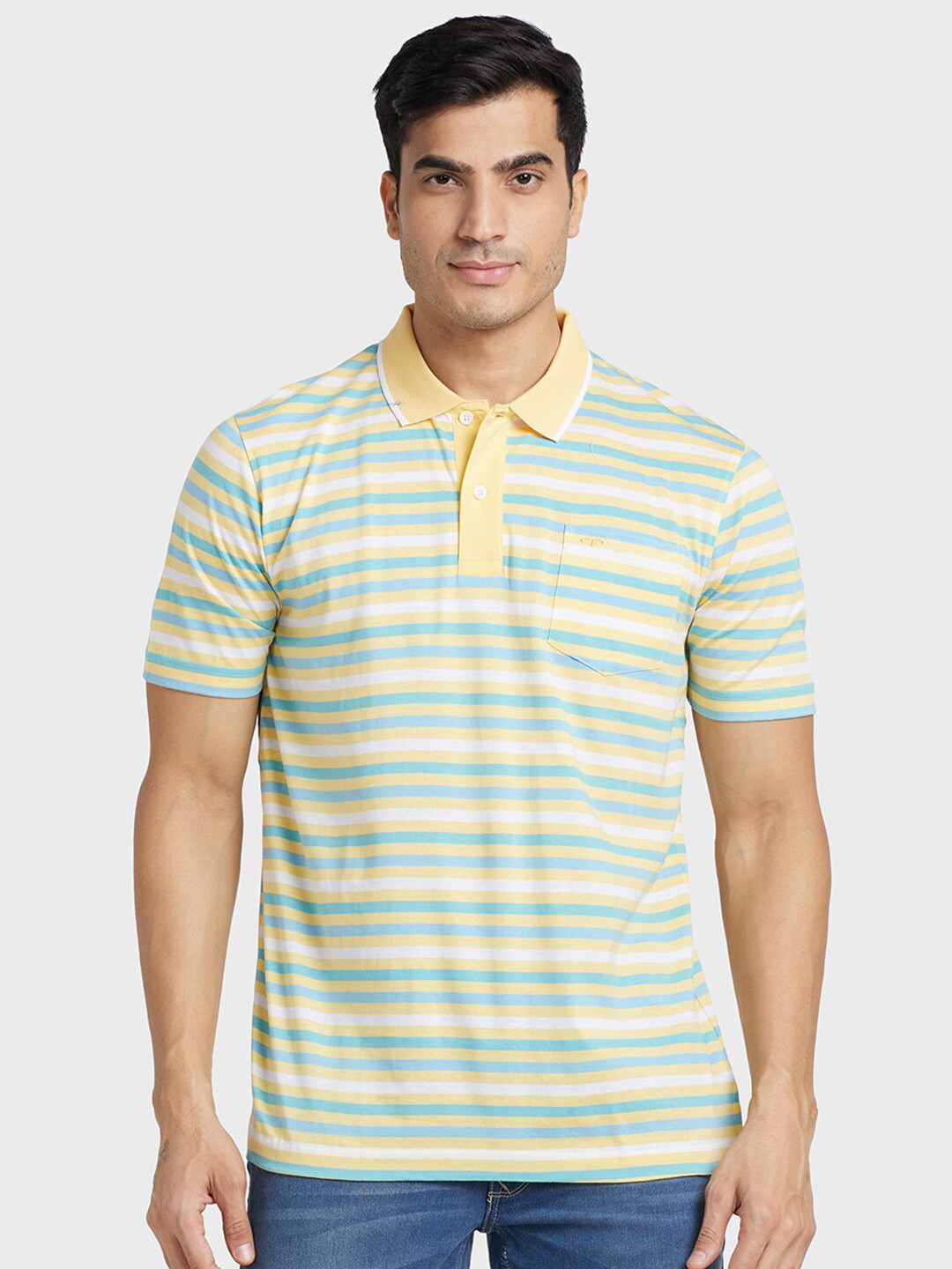 

ColorPlus Men Striped Polo Collar Cotton T-shirt, Yellow