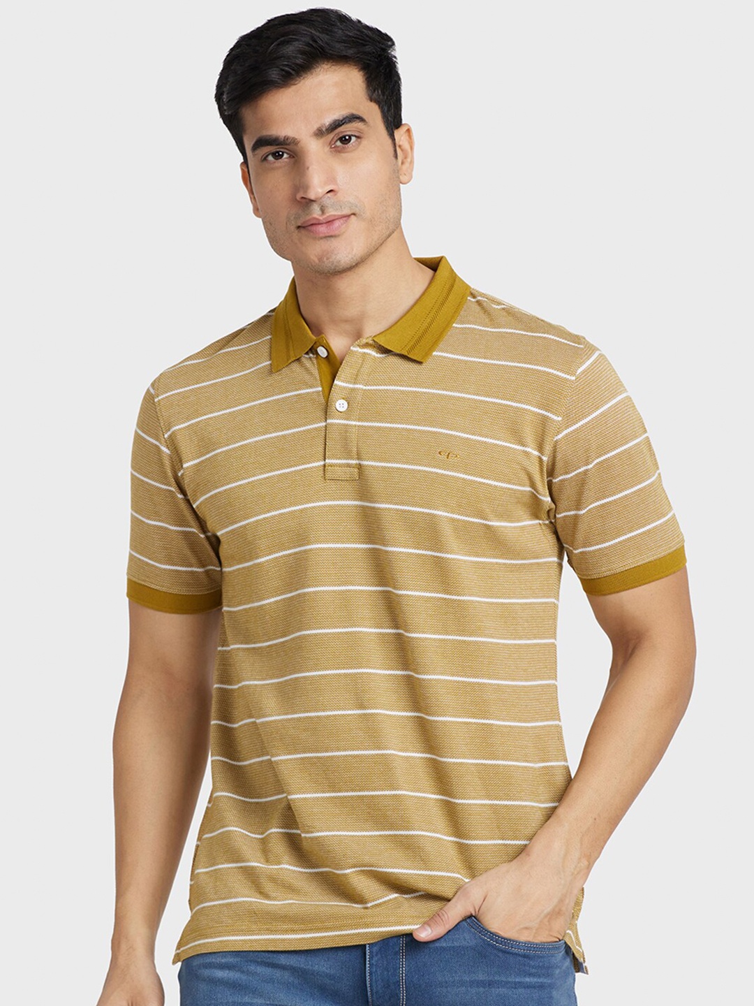 

ColorPlus Striped Polo Collar Cotton T-shirt, Camel brown