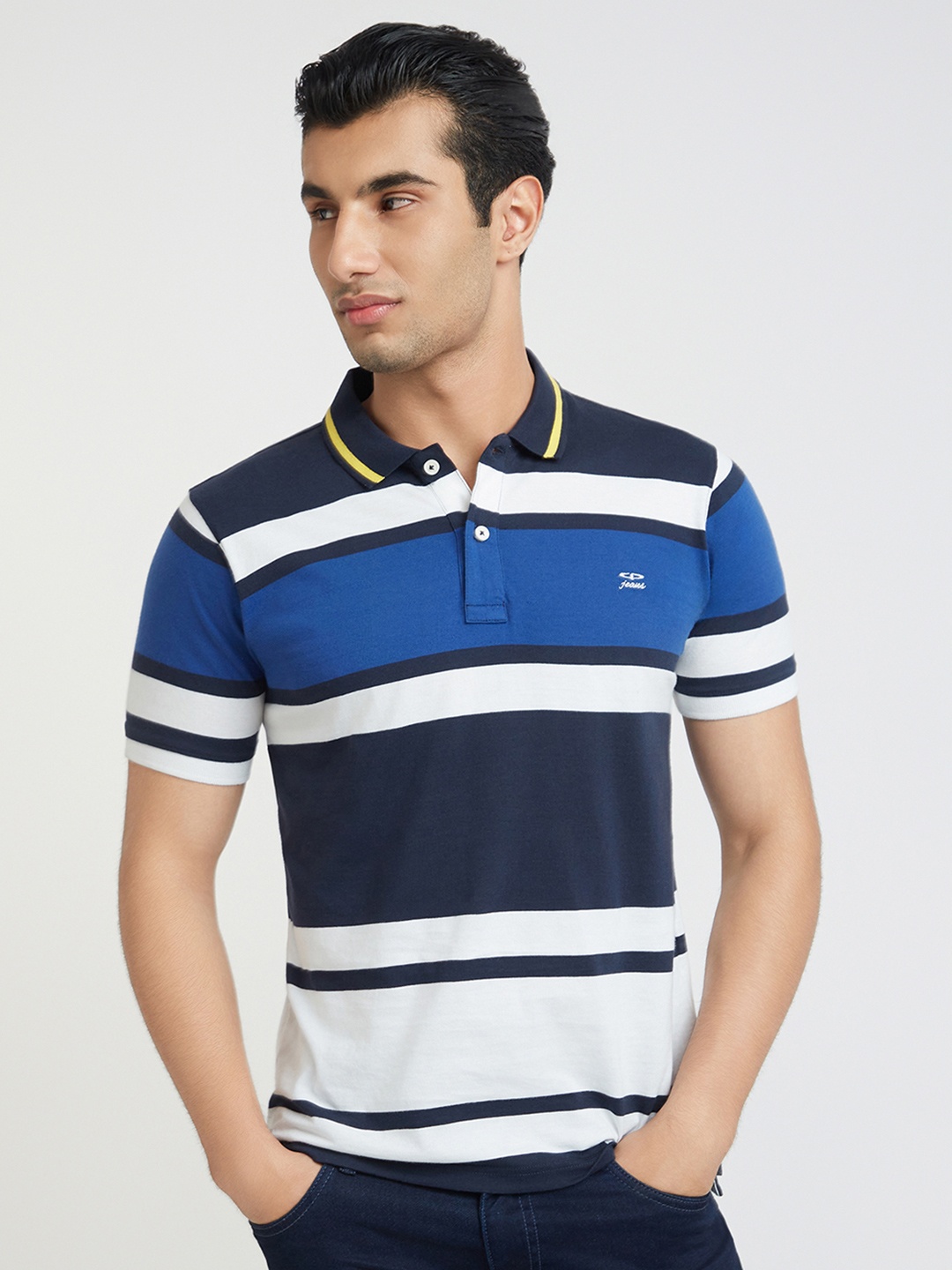 ColorPlus Men Striped Polo Collar Cotton T-shirt, Blue