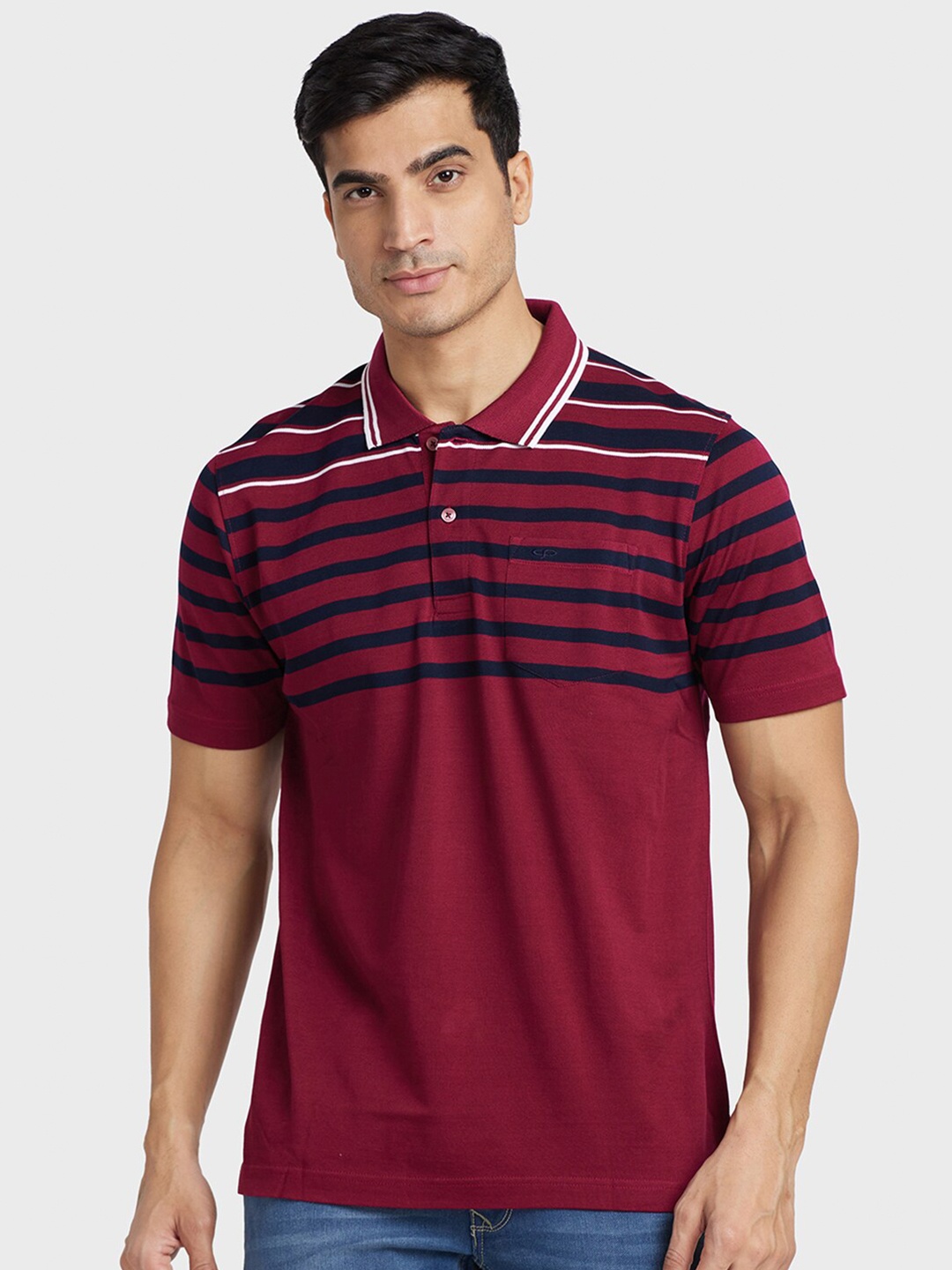 

ColorPlus Plus Size Striped Polo Collar Cotton T-shirt, Maroon