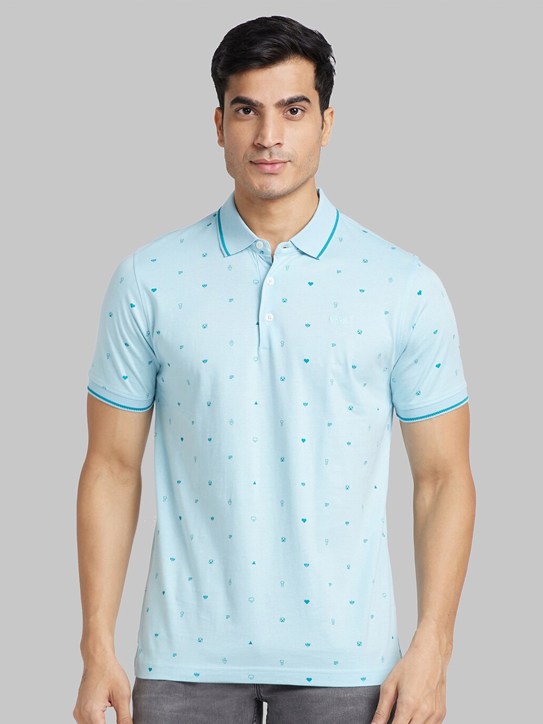 

Park Avenue Polo Collar Cotton Slim Fit T-shirt, Blue