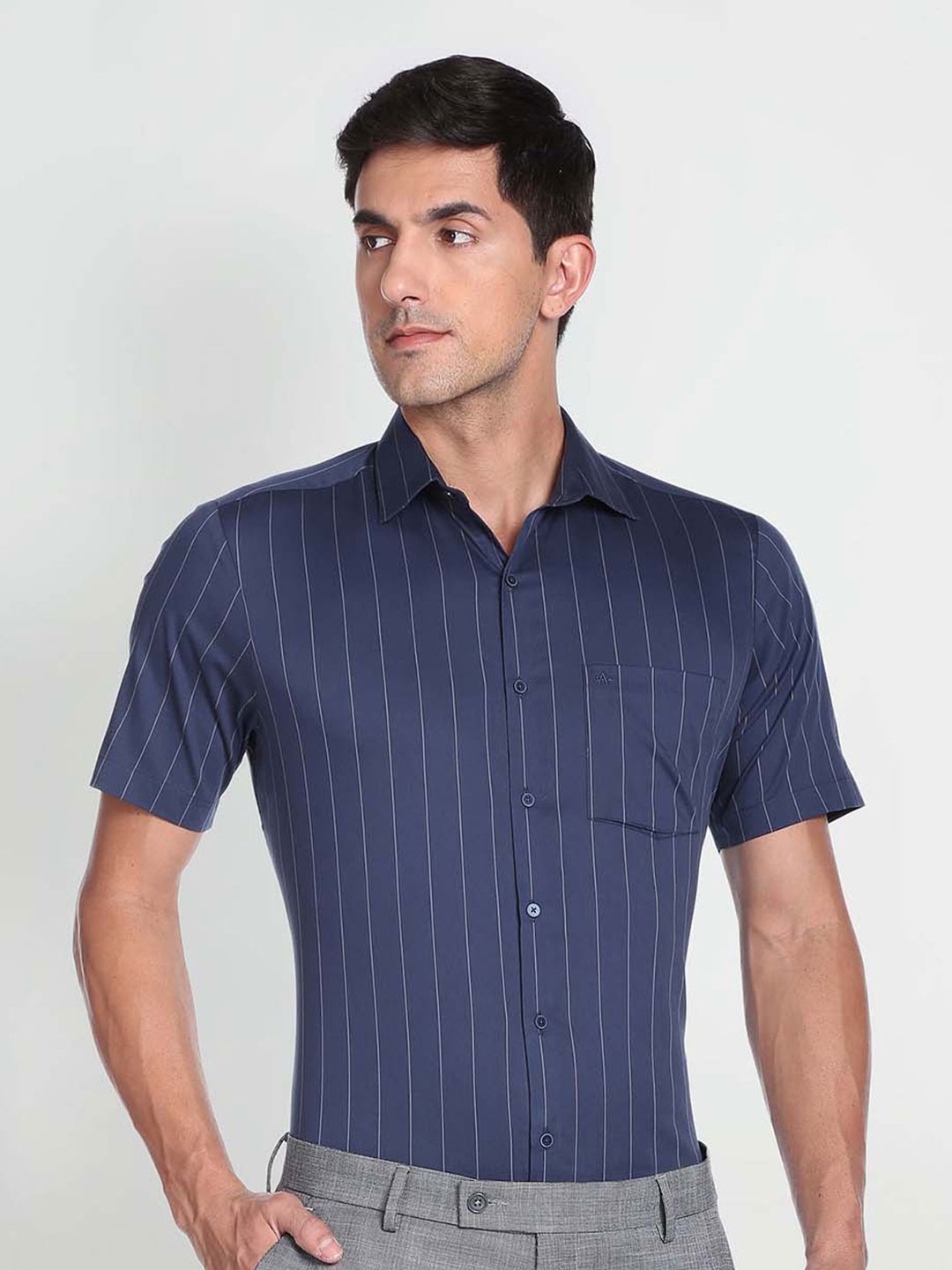 

Arrow Short Sleeve Vertical Striped Twill Formal Shirt, Blue