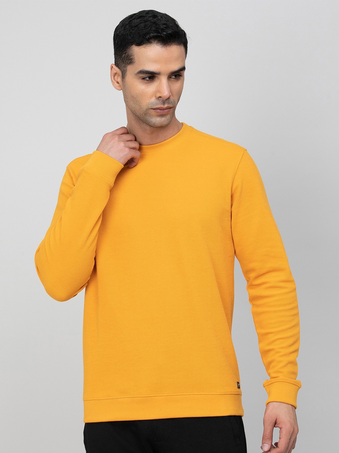 

Fame Forever by Lifestyle Round Neck Cotton Sweatshirt, Yellow