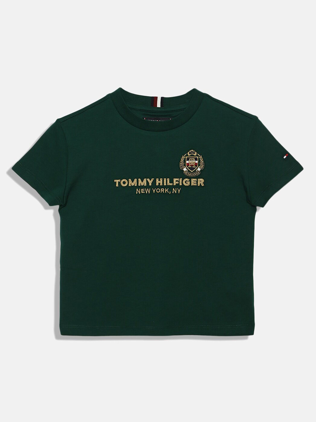 

Tommy Hilfiger Boys Typography Printed T-shirt, Green