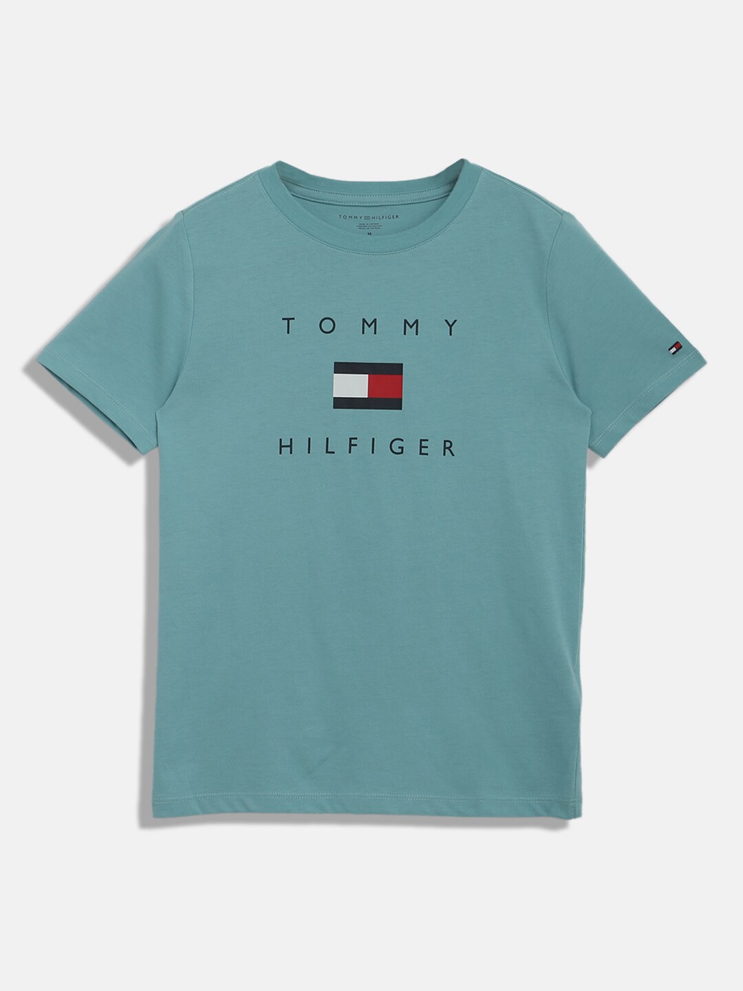 

Tommy Hilfiger Boys Typography Printed Cotton T-shirt, Blue