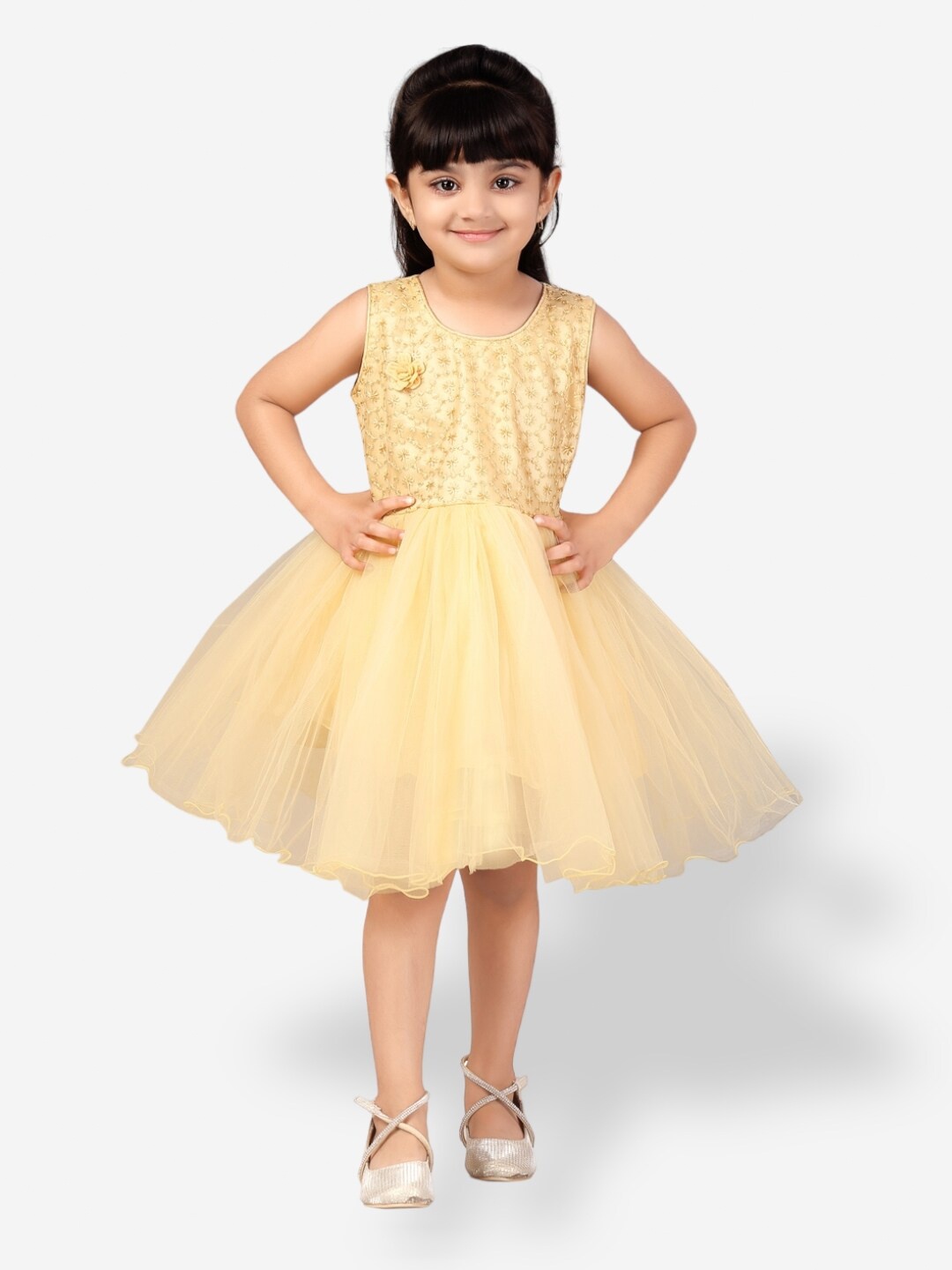 

Aarika Girls Embroidered Net Fit and Flare Dress, Beige