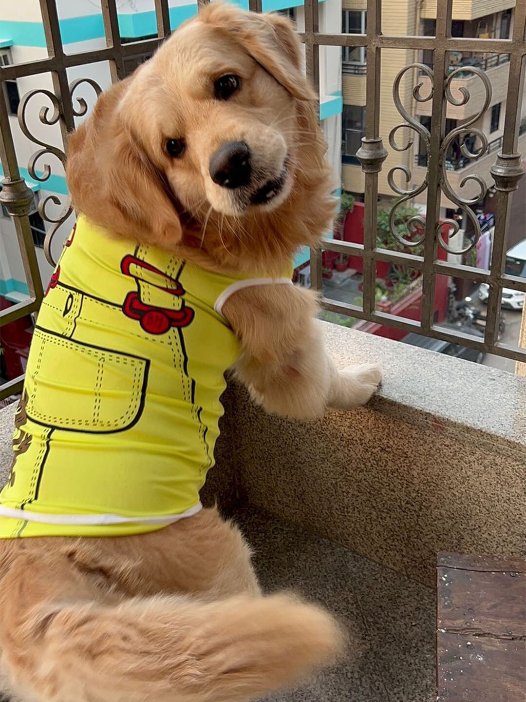 

Lulala Printed Cotton Dog T-Shirt, Yellow