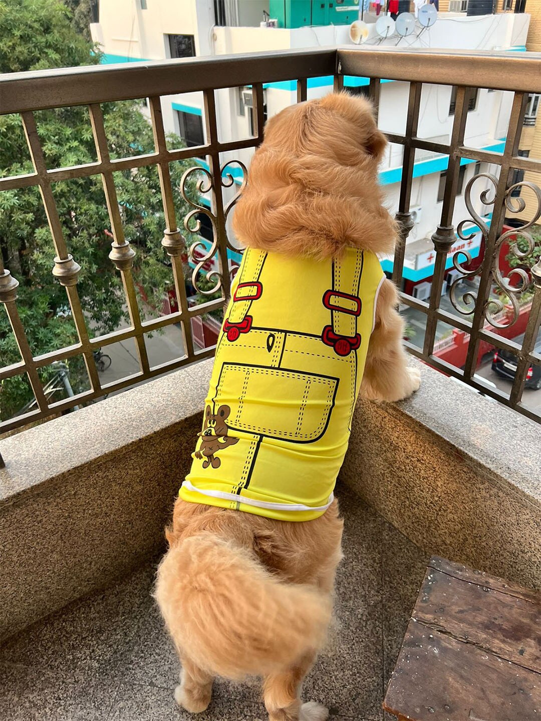 

Lulala Printed Cotton Dog T-Shirt, Yellow