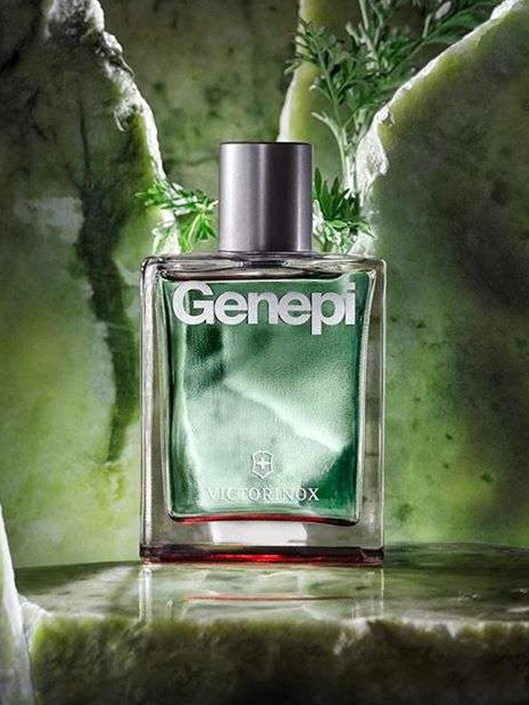 

Victorinox Men Genepi Eau De Toilette Natural Spray - 100 ml, Green